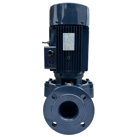 Циркуляционный насос MAXPUMP IL 65-240/22